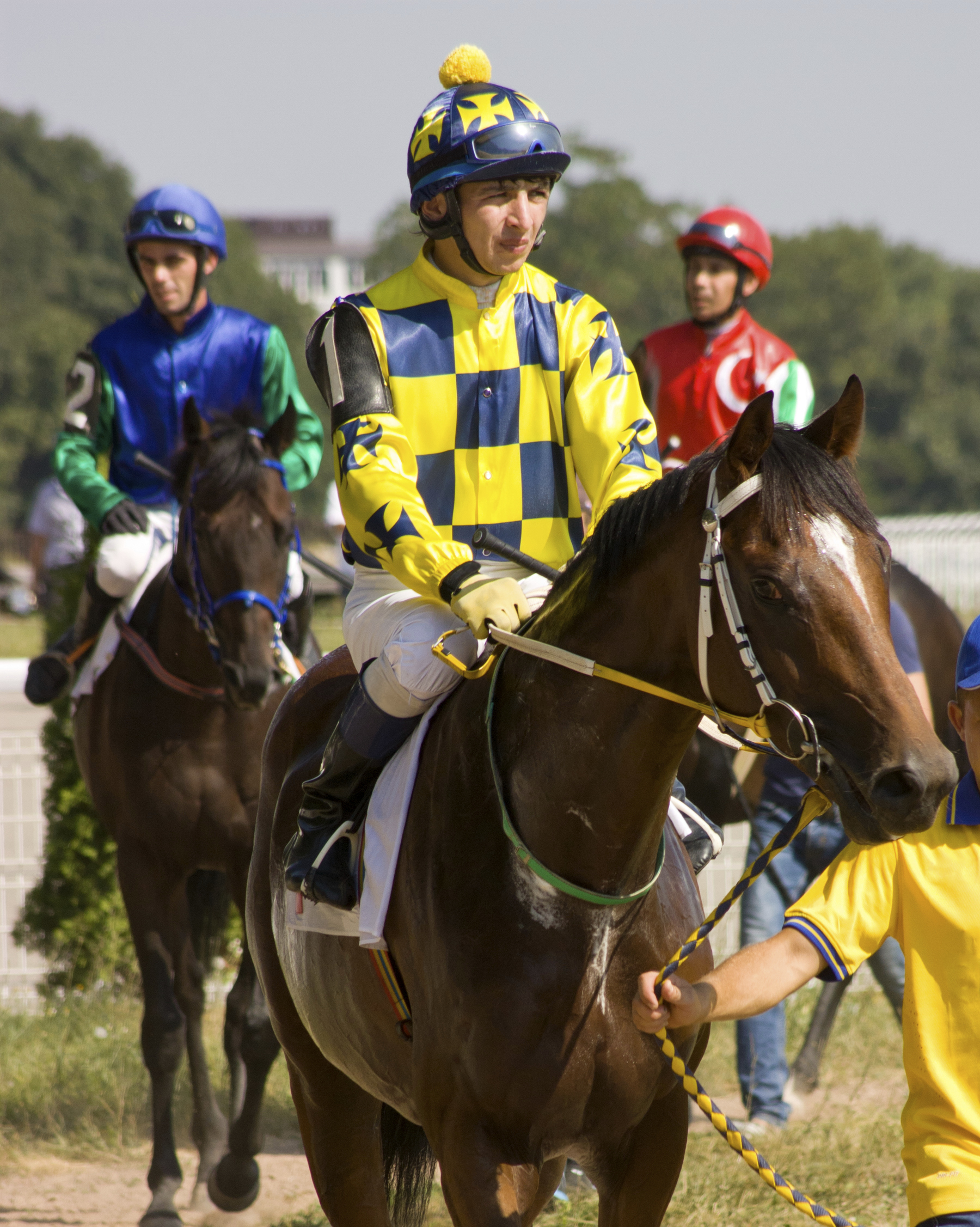 Equine Info  Exchange