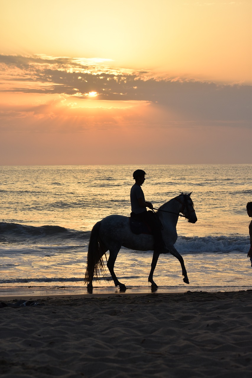 Photo courtesy of Pixabay