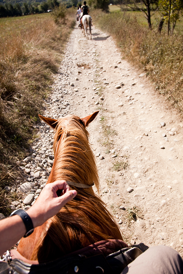 Equine Info Exchange - Trail Riding